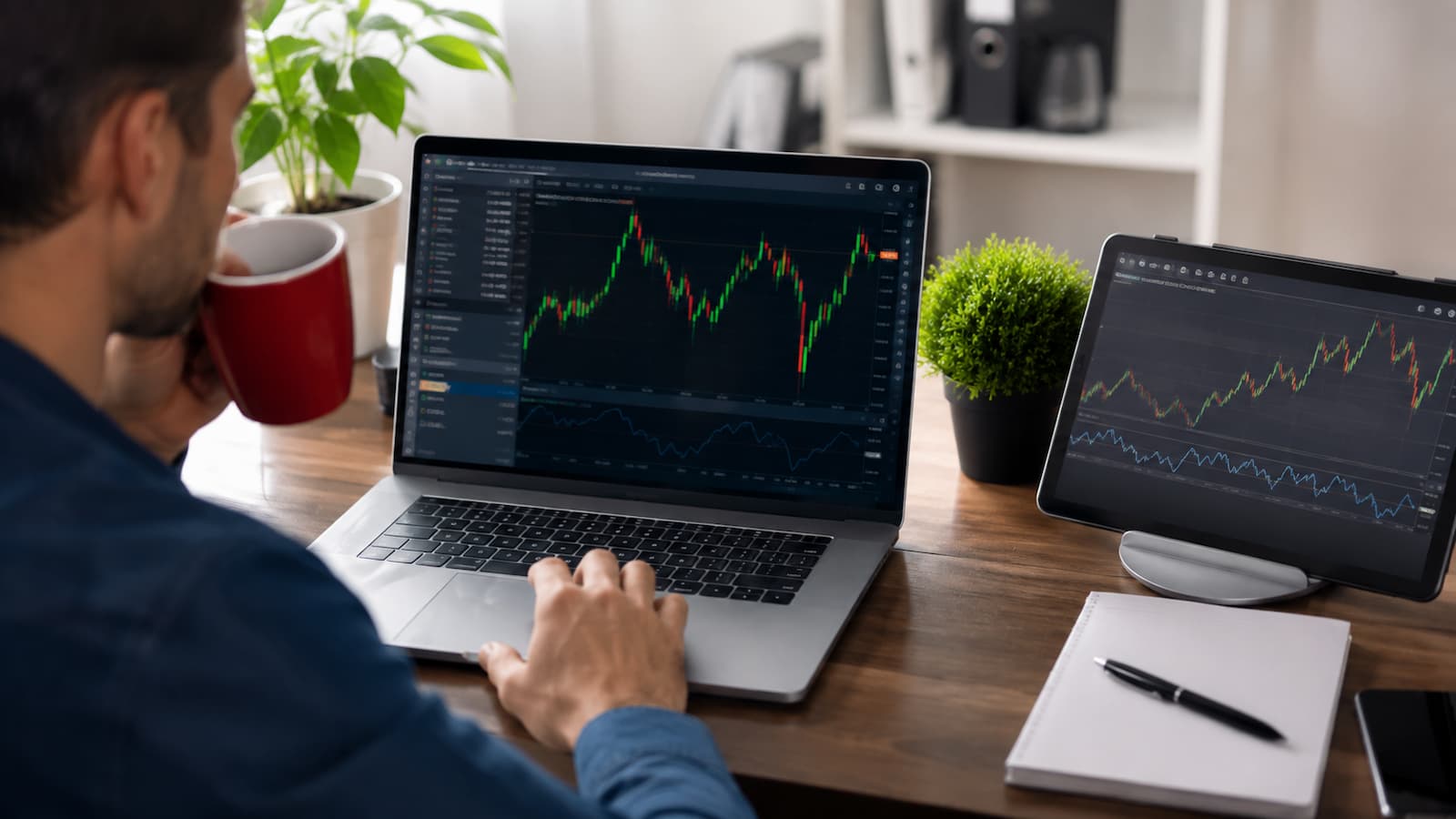 Cuenta demo de Axi en MT4 y MT5 para practicar trading sin dinero real