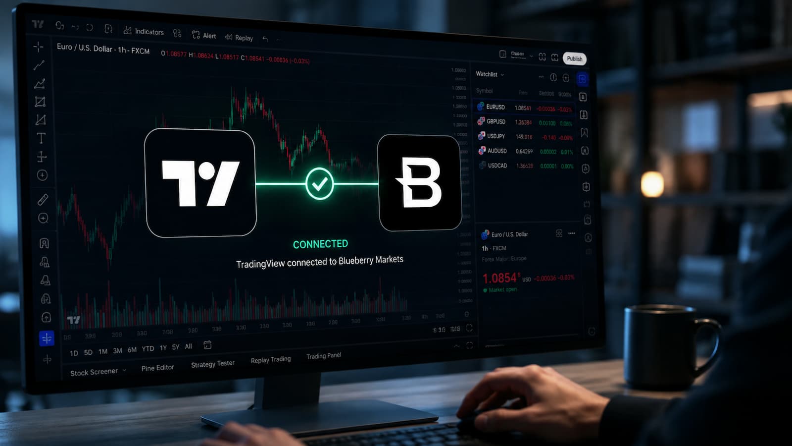 TradingView conectado a Blueberry Markets desde una plataforma