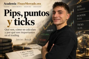 Pips puntos y ticks